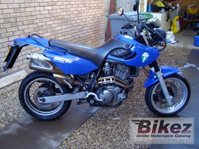 2005 MZ Mastiff photo